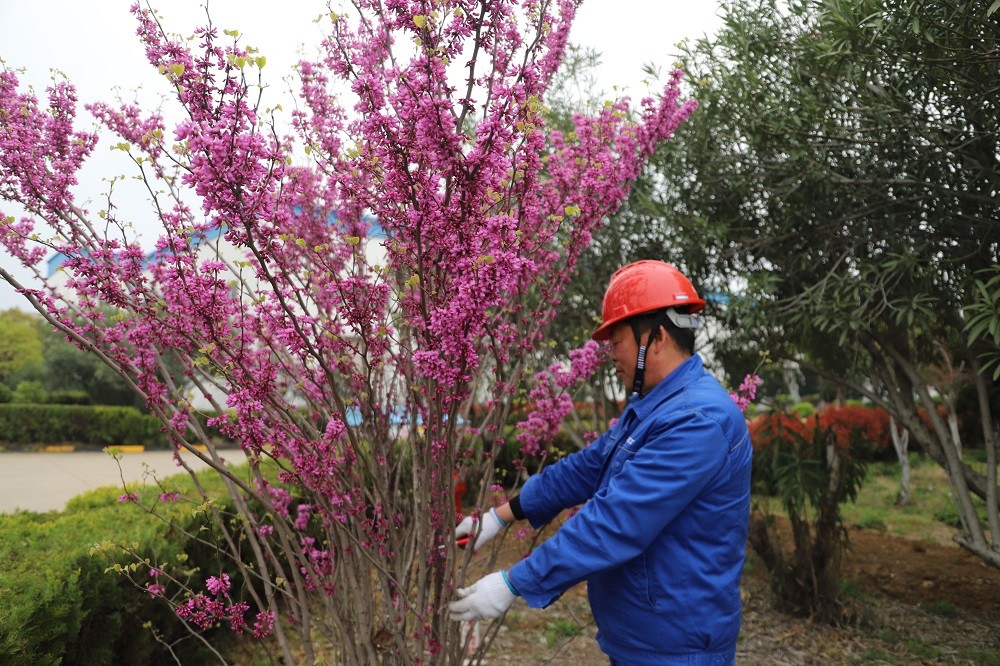 1679717018229610.jpg 2-2.jpg