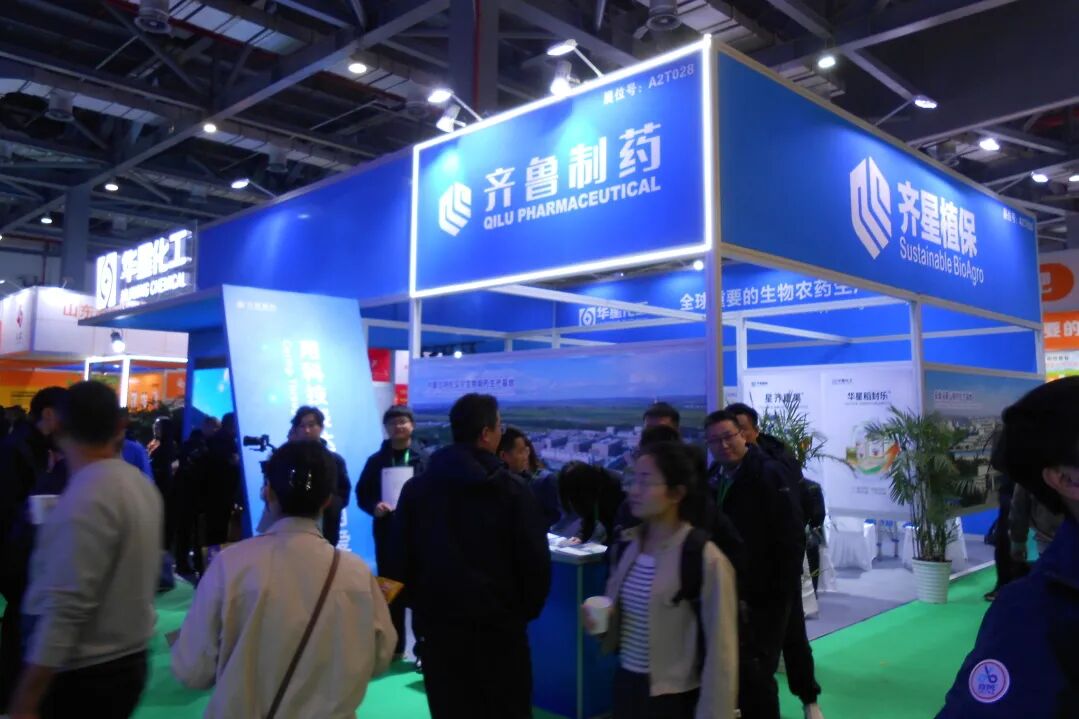 1764150834600545.jpg 9.jpg