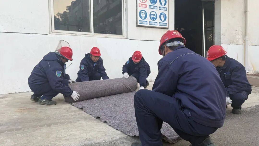 1765186709659886.jpg 2.jpg